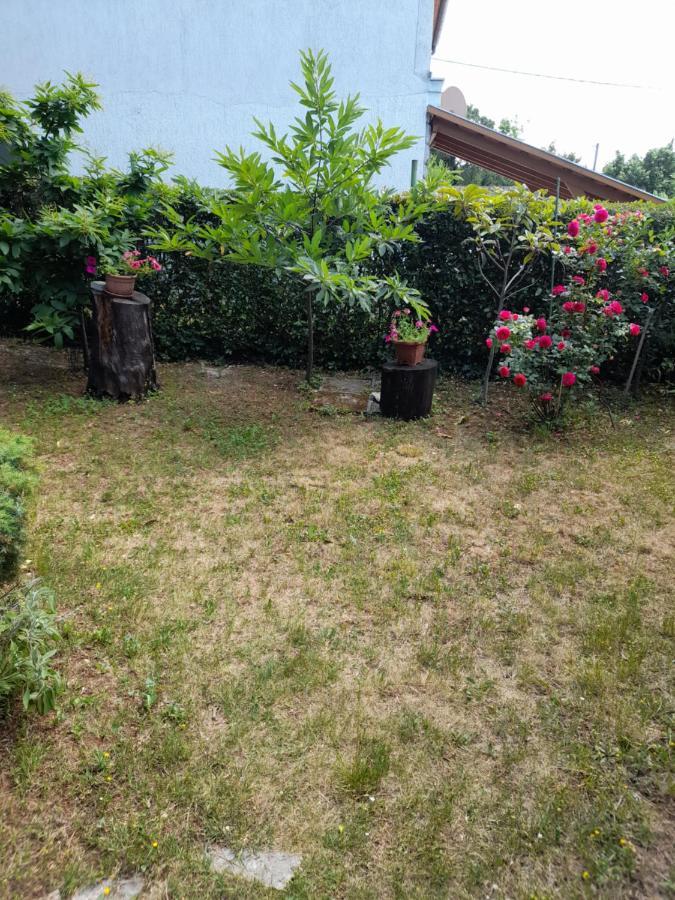Privacy Appartement Krmpote-Vodice Buitenkant foto